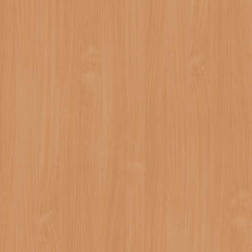 0381 Бук классический